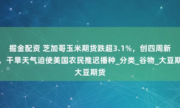 掘金配资 芝加哥玉米期货跌超3.1%，创四周新低，干旱天气迫使美国农民推迟播种_分类_谷物_大豆期货