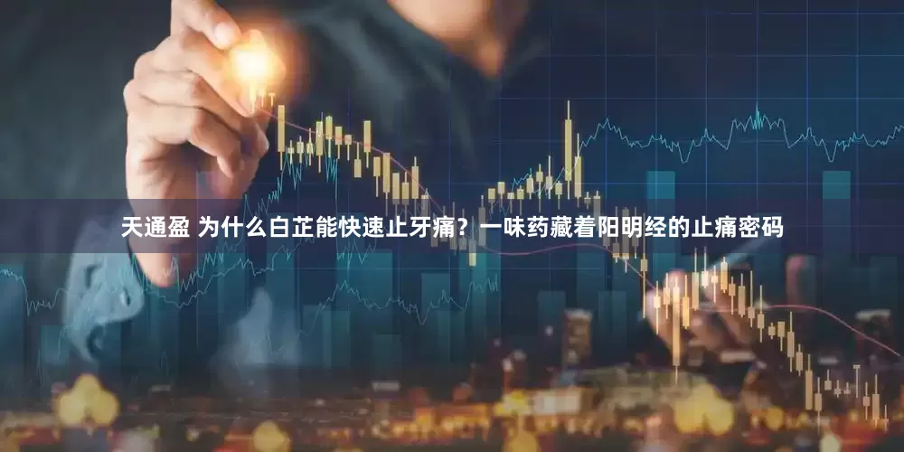 天通盈 为什么白芷能快速止牙痛？一味药藏着阳明经的止痛密码